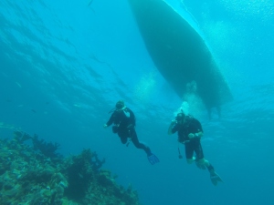 SCUBA Diving near Isla Mujeres, Cancun Mexico 11/13/2014